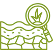 Poor Soil Health Management